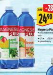 MAGNESIA PLUS
