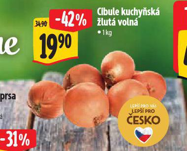 CIBULE KUCHYSK LUT