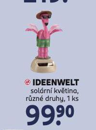 SOLRN KVTINKA