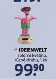 SOLRN KVTINKA