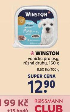 WINSTON VANIKA PRO PSY