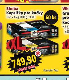 SHEBA KAPSIKY PRO KOKY