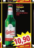 BUDVAR VEPN