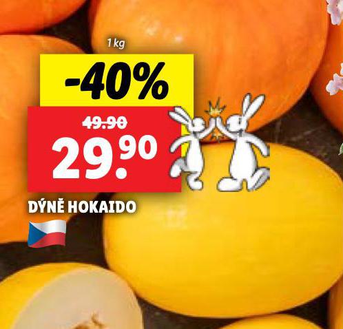 DN HOKAIDO
