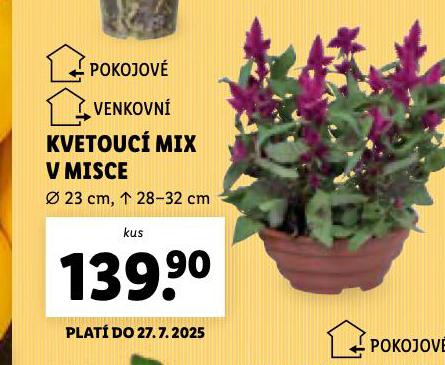 KVETOUC MIX V MISCE