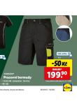 PRACOVN BERMUDY