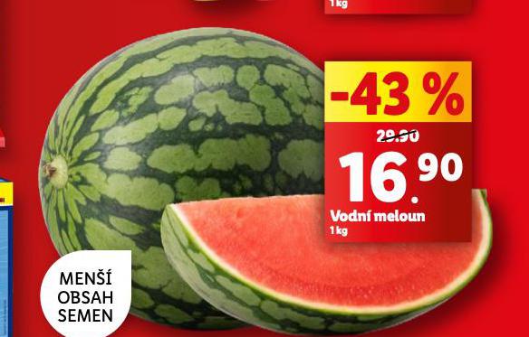 VODN MELOUN