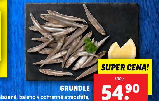 GRUNDLE