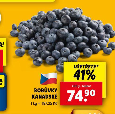 BORVKA KANADSK