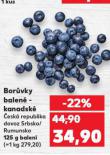 BORŮVKY