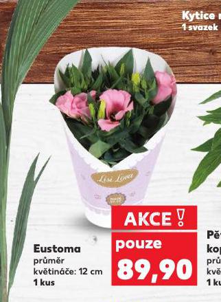 EUSTOMA