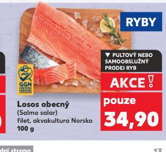 LOSOS OBECN