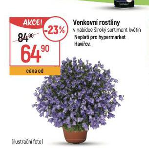 VENKOVN ROSTLINY