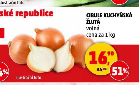 CIBULE KUCHYSK LUT