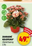 ZAHRADN KOLOPEJKA