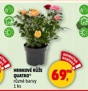 HRNKOV RَE QUATRO