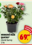 HRNKOV RَE QUATRO