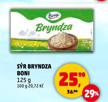 SR BRYNDZA