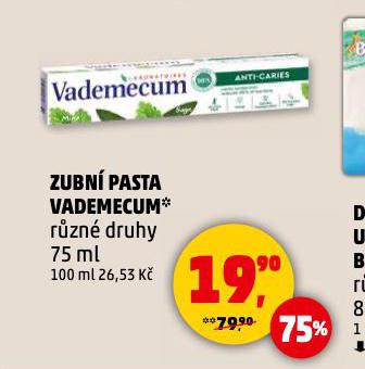 VADEMECUM ZUBN PASTA