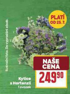 KYTICE S HORTENZI