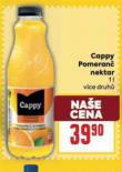 CAPPY POMERAN NEKTAR