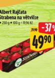 RAJATA STRABENA NA VTVICE