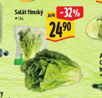 SALT MSK