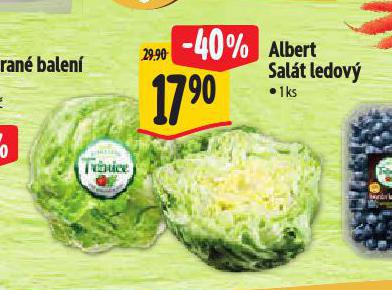 SALT LEDOV