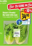 BIO SALT LITTLE GEM