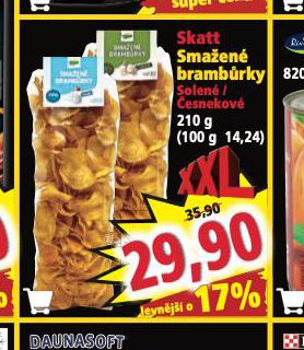 SKATT SMAEN BRAMBRKY