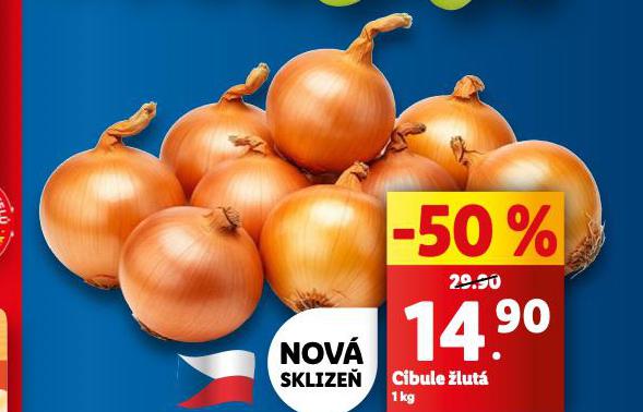 CIBULE LUT