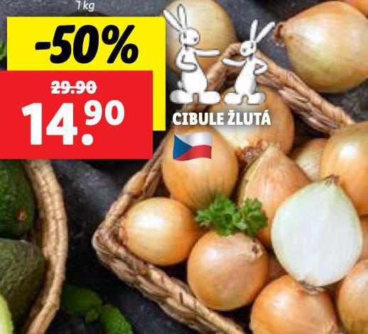 CIBULE LUT