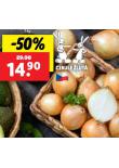 CIBULE LUT