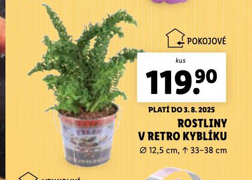 ROSTLINY V RETRO KYBLKU