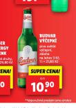 BUDVAR VEPN