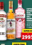 GORDONS GIN