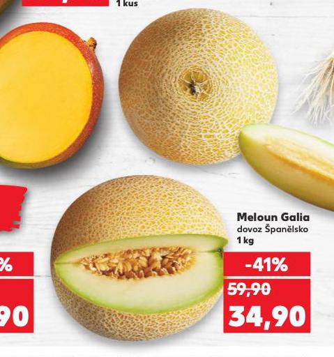 MELOUN GALIA
