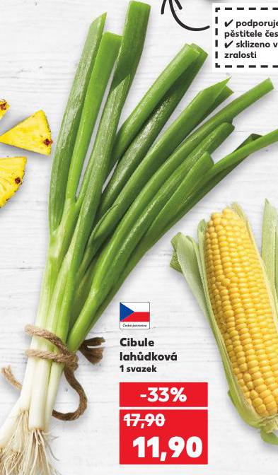 CIBULE LAHDKOV