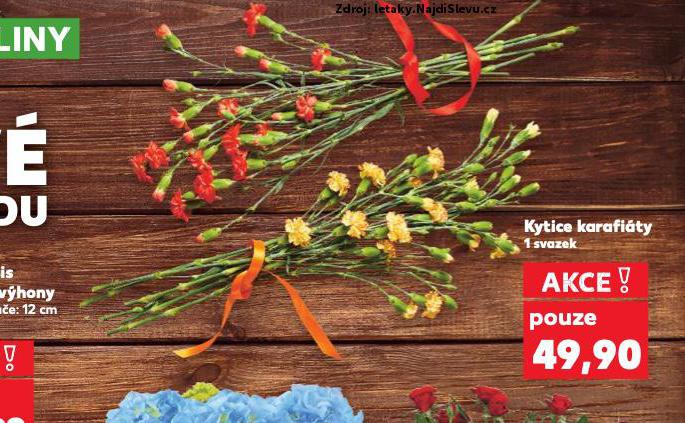KYTICE KARAFITY