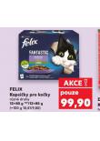 FELIX KAPSIČKY PRO KOČKY