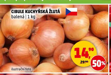 CIBULE KUCHYSK LUT
