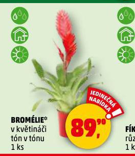 BROMLIE