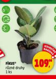 FKUS