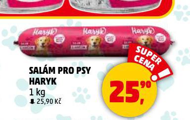 HARYK SALM PRO PSY