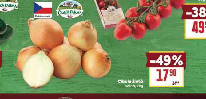CIBULE LUT