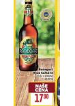 PIVO RADEGAST RYZE HOK 12