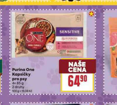 PURINA ONE KAPSIKY PRO PSY
