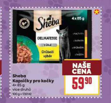 SHEBA KAPSIKY PRO KOKY