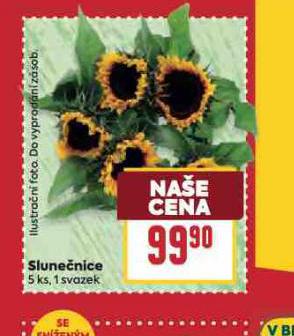 SLUNENICE
