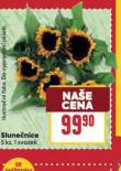 SLUNENICE